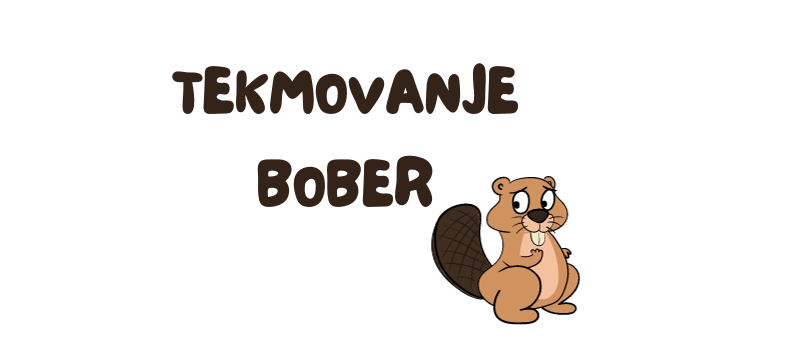 Šolsko tekmovanje Bober